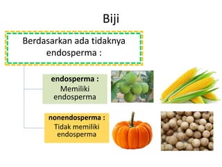 Biji
Berdasarkan ada tidaknya
endosperma :
nonendosperma :
Tidak memiliki
endosperma
endosperma :
Memiliki
endosperma
 