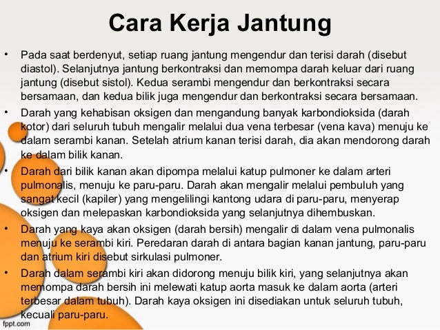 Organ Peredaran Darah Manusia