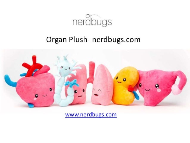 organ stuffies