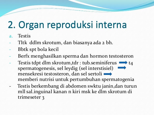 Organ reproduksi pada laki -laki dan perempuan