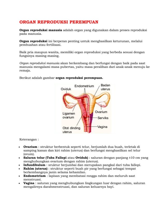 Organ reproduksi wanita dan oogenesis | PDF