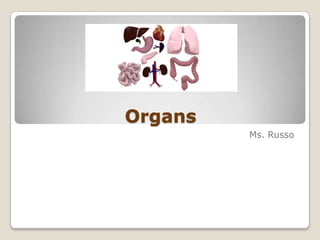 Organs
Ms. Russo

 