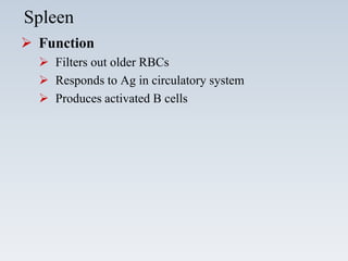 Organs of the Immune System | PPT