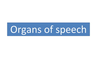 Organs of speech
 