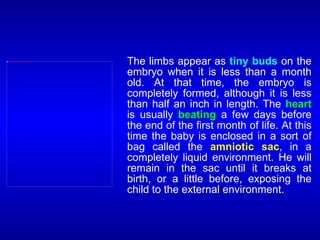 The limbs appear as tiny buds on the
embryo when it is less than a month
old. At that time, the embryo is
completely formed, although it is less
than half an inch in length. The heart
is usually beating a few days before
the end of the first month of life. At this
time the baby is enclosed in a sort of
bag called the amniotic sac, in a
completely liquid environment. He will
remain in the sac until it breaks at
birth, or a little before, exposing the
child to the external environment.
file:///C:/Documents%20and%20Settings/shama/Desktop/Figures/06week-large.gif
 