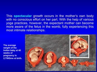 This spectacular growth occurs in the mother’s own body
with no conscious effort on her part. With the help of various
yoga practices, however, the expectant mother can become
more aware of the fetus in the womb, fully experiencing this
most intimate relationships.
The average
weight of the
Indian baby at 40
weeks of
pregnancy is
2,750Gms at birth.
 