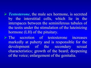  Testosterone, the male sex hormone, is secreted
by the interstitial cells, which lie in the
interspaces between the seminiferous tubules of
the testis under the stimulation of the luteinizing
hormone (LH) of the pituitary.
 The secretion of testosterone increases
markedly at puberty and is responsible for the
development of the secondary sexual
characteristics; growth of the beard; deepening
of the voice; enlargement of the genitalia.
 