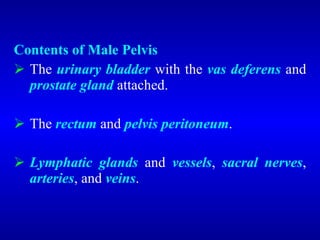 Contents of Male Pelvis
 The urinary bladder with the vas deferens and
prostate gland attached.
 The rectum and pelvis peritoneum.
 Lymphatic glands and vessels, sacral nerves,
arteries, and veins.
 