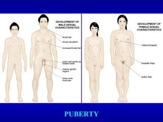 PUBERTY
 