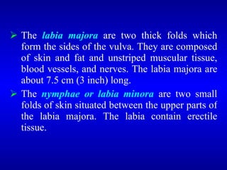  The labia majora are two thick folds which
form the sides of the vulva. They are composed
of skin and fat and unstriped muscular tissue,
blood vessels, and nerves. The labia majora are
about 7.5 cm (3 inch) long.
 The nymphae or labia minora are two small
folds of skin situated between the upper parts of
the labia majora. The labia contain erectile
tissue.
 