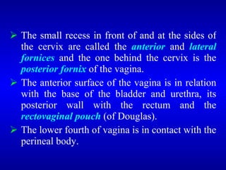  The small recess in front of and at the sides of
the cervix are called the anterior and lateral
fornices and the one behind the cervix is the
posterior fornix of the vagina.
 The anterior surface of the vagina is in relation
with the base of the bladder and urethra, its
posterior wall with the rectum and the
rectovaginal pouch (of Douglas).
 The lower fourth of vagina is in contact with the
perineal body.
 