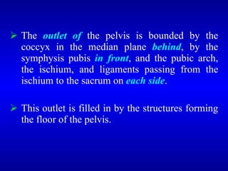  The outlet of the pelvis is bounded by the
coccyx in the median plane behind, by the
symphysis pubis in front, and the pubic arch,
the ischium, and ligaments passing from the
ischium to the sacrum on each side.
 This outlet is filled in by the structures forming
the floor of the pelvis.
 