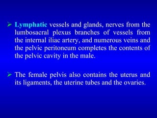  Lymphatic vessels and glands, nerves from the
lumbosacral plexus branches of vessels from
the internal iliac artery, and numerous veins and
the pelvic peritoneum completes the contents of
the pelvic cavity in the male.
 The female pelvis also contains the uterus and
its ligaments, the uterine tubes and the ovaries.
 
