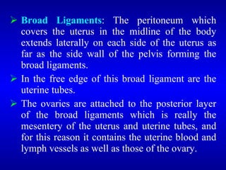  Broad Ligaments: The peritoneum which
covers the uterus in the midline of the body
extends laterally on each side of the uterus as
far as the side wall of the pelvis forming the
broad ligaments.
 In the free edge of this broad ligament are the
uterine tubes.
 The ovaries are attached to the posterior layer
of the broad ligaments which is really the
mesentery of the uterus and uterine tubes, and
for this reason it contains the uterine blood and
lymph vessels as well as those of the ovary.
 