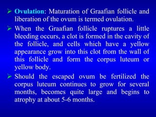  Ovulation: Maturation of Graafian follicle and
liberation of the ovum is termed ovulation.
 When the Graafian follicle ruptures a little
bleeding occurs, a clot is formed in the cavity of
the follicle, and cells which have a yellow
appearance grow into this clot from the wall of
this follicle and form the corpus luteum or
yellow body.
 Should the escaped ovum be fertilized the
corpus luteum continues to grow for several
months, becomes quite large and begins to
atrophy at about 5-6 months.
 