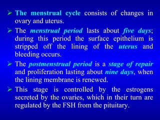  The menstrual cycle consists of changes in
ovary and uterus.
 The menstrual period lasts about five days;
during this period the surface epithelium is
stripped off the lining of the uterus and
bleeding occurs.
 The postmenstrual period is a stage of repair
and proliferation lasting about nine days, when
the lining membrane is renewed.
 This stage is controlled by the estrogens
secreted by the ovaries, which in their turn are
regulated by the FSH from the pituitary.
 