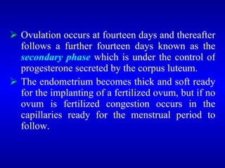  Ovulation occurs at fourteen days and thereafter
follows a further fourteen days known as the
secondary phase which is under the control of
progesterone secreted by the corpus luteum.
 The endometrium becomes thick and soft ready
for the implanting of a fertilized ovum, but if no
ovum is fertilized congestion occurs in the
capillaries ready for the menstrual period to
follow.
 