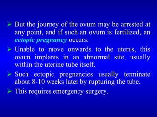  But the journey of the ovum may be arrested at
any point, and if such an ovum is fertilized, an
ectopic pregnancy occurs.
 Unable to move onwards to the uterus, this
ovum implants in an abnormal site, usually
within the uterine tube itself.
 Such ectopic pregnancies usually terminate
about 8-10 weeks later by rupturing the tube.
 This requires emergency surgery.
 