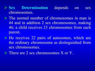  Sex Determination depends on sex
chromosomes.
 The normal number of chromosomes in man is
44 and in addition 2 sex chromosomes, making
46; a child receives 23 chromosomes from each
parent.
 He receives 22 pairs of autosomes, which are
the ordinary chromosome as distinguished from
sex chromosomes.
 There are 2 sex chromosomes X or Y.
 