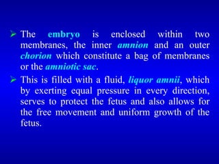 The embryo is enclosed within two
membranes, the inner amnion and an outer
chorion which constitute a bag of membranes
or the amniotic sac.
 This is filled with a fluid, liquor amnii, which
by exerting equal pressure in every direction,
serves to protect the fetus and also allows for
the free movement and uniform growth of the
fetus.
 