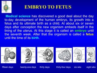 EMBRYO TO FETUS
Medical science has discovered a good deal about the day
to-day development of the human embryo, its growth into a
fetus and its ultimate birth as a child. At about six or seven
days after conception the new organism embeds itself in the
lining of the uterus. At this stage it is called an embryo until
the seventh week. After that the organism is called a fetus
until the time of its birth.
fifteen days twenty-one days thirty days thirty-four days six wks eight wks
 