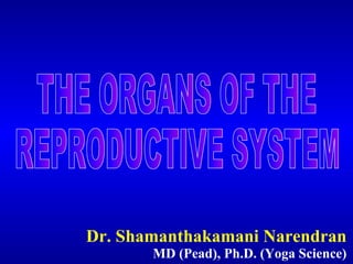 Dr. Shamanthakamani Narendran MD (Pead), Ph.D. (Yoga Science) THE ORGANS OF THE  REPRODUCTIVE SYSTEM 