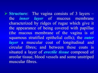 Organs of the Reproductive System.ppt