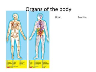 Organs Tissue and Cellspot Biology Diagrams