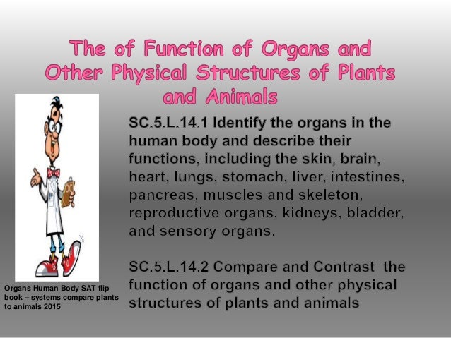 Organs Human Body Sat Flip Book Systems Compare Plants And Animals