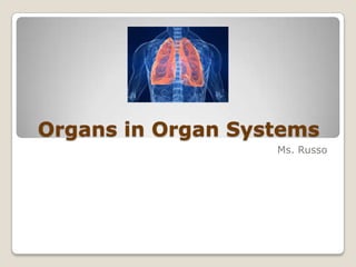 Organs in Organ Systems
Ms. Russo

 