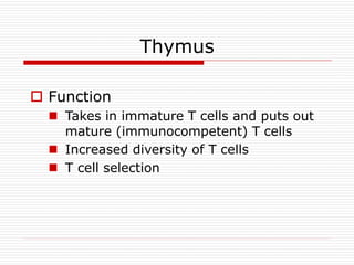 organs of Immune system | PPTX