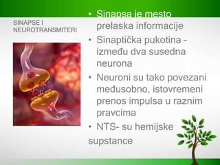 SINAPSE I
NEUROTRANSMITERI
• Sinapsa je mesto
prelaska informacije
• Sinaptička pukotina –
između dva susedna
neurona
• Neuroni su tako povezani
međusobno, istovremeni
prenos impulsa u raznim
pravcima
• NTS- su hemijske
supstance
 