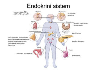Organske osnove psihickog zivota | PPT