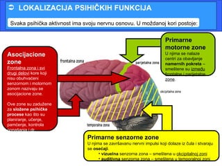  LOKALIZACIJA PSIHIČKIH FUNKCIJA

 Svaka psihička aktivnost ima svoju nervnu osnovu. U moždanoj kori postoje:


                                                                        Primarne
                                                                        motorne zone
Asocijacione                                                            U njima se nalaze
                                                                        centri za obavljanje
zone                                                                    namernih pokreta –
Frontalna zona i svi                                                    smeštene su između
drugi delovi kore koji                                                  frontalne i parijetalne
nisu obuhvaćeni                                                         zone.
senzornom i motornom
zonom nazivaju se
asocijacione zone.

Ove zone su zadužene
za složene psihičke
procese kao što su
planiranje, učenje,
pamćenje, kontrola
ponašanja i dr.
                               Primarne senzorne zone
                               U njima se završavanu nervni impulsi koji dolaze iz čula i stvaraju
                               se osećaji.
                                     • vizuelna senzorna zona – smeštena u okcipitalnoj zoni
                                     • auditivna senzorna zona – smeštena u temporalnoj zoni
 