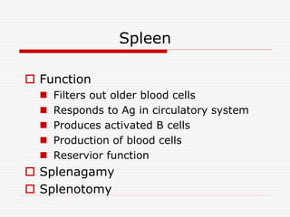 Organs of the immune system | PPT