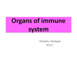 Organs of immune
system
-Vishakha Guldagad
M.Sc I
 