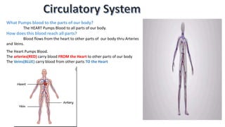 What Pumps blood to the parts of our body?
The HEART Pumps Blood to all parts of our body.
How does this blood reach all parts?
Blood flows from the heart to other parts of our body thru Arteries
and Veins.
The Heart Pumps Blood.
The arteries(RED) carry blood FROM the Heart to other parts of our body
The Veins(BLUE) carry blood from other parts TO the Heart
 