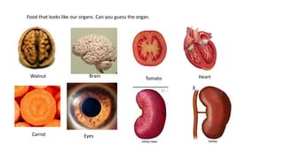 Food that looks like our organs. Can you guess the organ.
Walnut Brain
Carrot Eyes
Tomato Heart
 