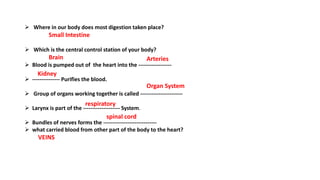  Where in our body does most digestion taken place?
Small Intestine
 Which is the central control station of your body?
Brain
 Blood is pumped out of the heart into the ------------------
 --------------- Purifies the blood.
 Group of organs working together is called -----------------------
 Larynx is part of the -------------------- System.
 Bundles of nerves forms the -----------------------------
 what carried blood from other part of the body to the heart?
VEINS
Arteries
Kidney
Organ System
respiratory
spinal cord
 