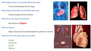 What happens to the air we breath? Where does it go?
The air we breath goes into our lungs.
What happens to the food we eat? Where does it go?
Food we eat goes into our stomach.
What do we call Lungs and stomach as?
We call them as Organs.
What are Organs?
Organs are parts of our body that perform a particular functions.
What are some of the large organs on our Body
Lungs
Stomach
Heart
Kidney
 