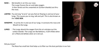 NOSE : We breathe in air thru our nose.
The Lungs Process the air and takes oxygen.
It then Sends out the unwanted air (Carbon dioxide) out thru
the nose.
LARYNX : Try and sing “la la la” can you feel air flowing in and out of your
lungs. This causes you to sing, talk and yell. This is also known as
the VOICE BOX.
WINDPIPE : It carries Air in and out of our lungs. It connects the nose and
Mouth to the lungs.
LUNGS : The Lungs absorb the oxygen from the air and give out the
carbon dioxide. The Lungs are like Balloons, it will inflate when
air is filled and deflate when air is let out.
Did you know?
The Nose has small hair that helps us to filter our the dust particles in our hair.
 