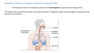 Should the respiratory and digestive system work together? Why?
The Respiratory System and digestive system should work together to give the body energy. How?
The Oxygen that we get from the lungs is sent into the blood. The digestive system uses this oxygen o break down food
particles in the stomach
 