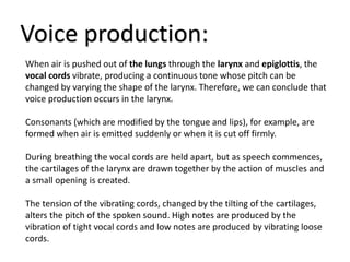 Voice production: 
When air is pushed out of the lungs through the larynx and epiglottis, the 
vocal cords vibrate, producing a continuous tone whose pitch can be 
changed by varying the shape of the larynx. Therefore, we can conclude that 
voice production occurs in the larynx. 
Consonants (which are modified by the tongue and lips), for example, are 
formed when air is emitted suddenly or when it is cut off firmly. 
During breathing the vocal cords are held apart, but as speech commences, 
the cartilages of the larynx are drawn together by the action of muscles and 
a small opening is created. 
The tension of the vibrating cords, changed by the tilting of the cartilages, 
alters the pitch of the spoken sound. High notes are produced by the 
vibration of tight vocal cords and low notes are produced by vibrating loose 
cords. 
 