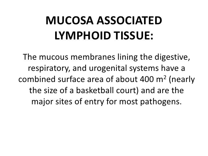 Get Zitate teamwork motivation For Android Free Zitate Teamwork Motivation