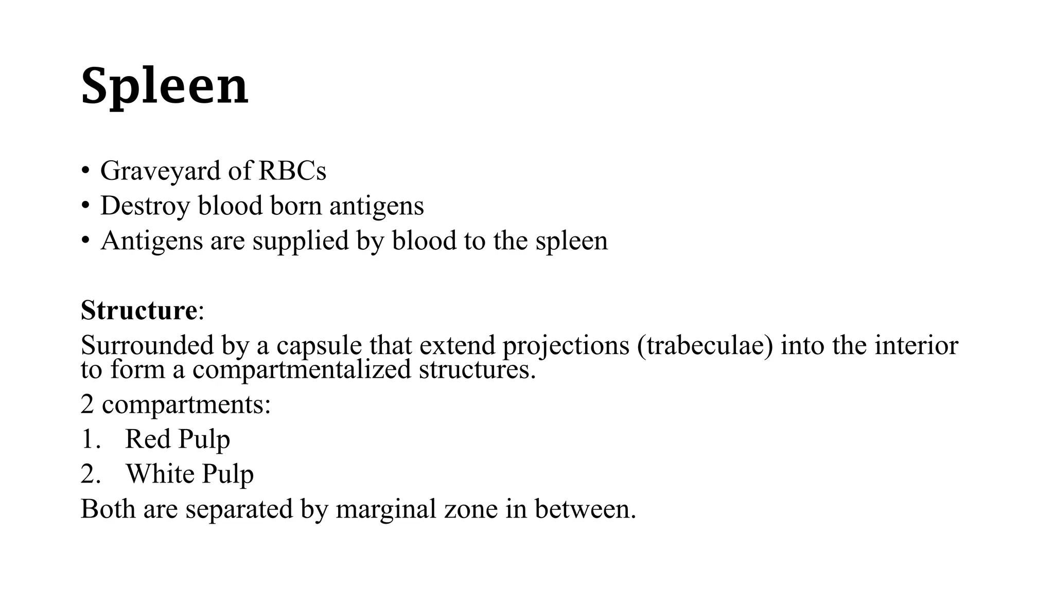 Spleen
• Graveyard of RBCs
• Destroy blood born antigens
• Antigens are supplied by blood to the spleen
Structure:
Surrounded by a capsule that extend projections (trabeculae) into the interior
to form a compartmentalized structures.
2 compartments:
1. Red Pulp
2. White Pulp
Both are separated by marginal zone in between.
 