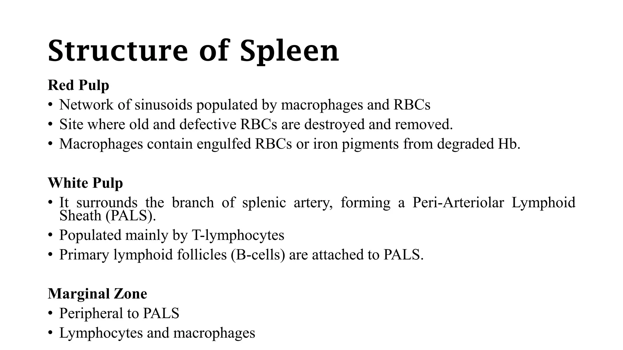 Structure of Spleen
Red Pulp
• Network of sinusoids populated by macrophages and RBCs
• Site where old and defective RBCs are destroyed and removed.
• Macrophages contain engulfed RBCs or iron pigments from degraded Hb.
White Pulp
• It surrounds the branch of splenic artery, forming a Peri-Arteriolar Lymphoid
Sheath (PALS).
• Populated mainly by T-lymphocytes
• Primary lymphoid follicles (B-cells) are attached to PALS.
Marginal Zone
• Peripheral to PALS
• Lymphocytes and macrophages
 