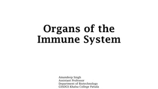 Organs of the
Immune System
Amandeep Singh
Assistant Professor
Department of Biotechnology
GSSDGS Khalsa College Patiala
 