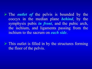 <ul><li>The  outlet of  the pelvis is bounded by the coccyx in the median plane  behind , by the symphysis pubis  in front...