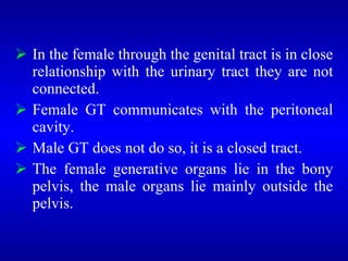 <ul><li>In the female through the genital tract is in close relationship with the urinary tract they are not connected. </...