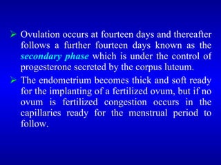 <ul><li>Ovulation occurs at fourteen days and thereafter follows a further fourteen days known as the  secondary phase  wh...